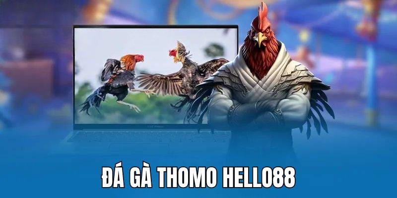 Đá gà Thomo